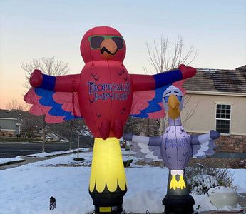 Inflatable Birds